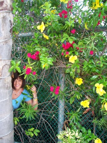 The Blooming Idiot ......Having fun in Cancun, MX! June 2009


Margie Mays