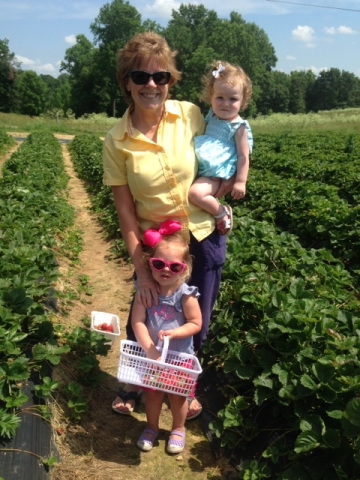 Strawberry picking time in Portland, TN. Nana (Carolyn House Fohl) and her angels, Allie Elizabeth McKinzie and Piper Grace Toomey April 2014.